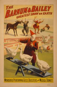 Barnum og Bailey Circus plakat, ca. 1900 (kromolitografi)